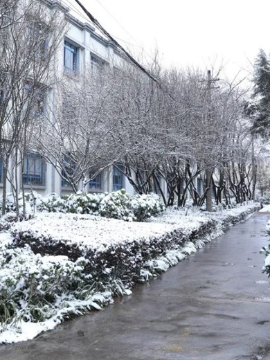 校园风景—冬盈